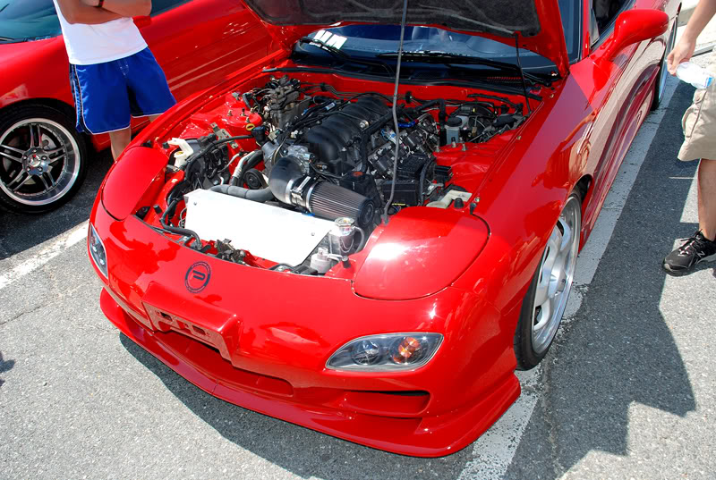 Name:  DSC_7178.jpg
Views: 72
Size:  145.4 KB