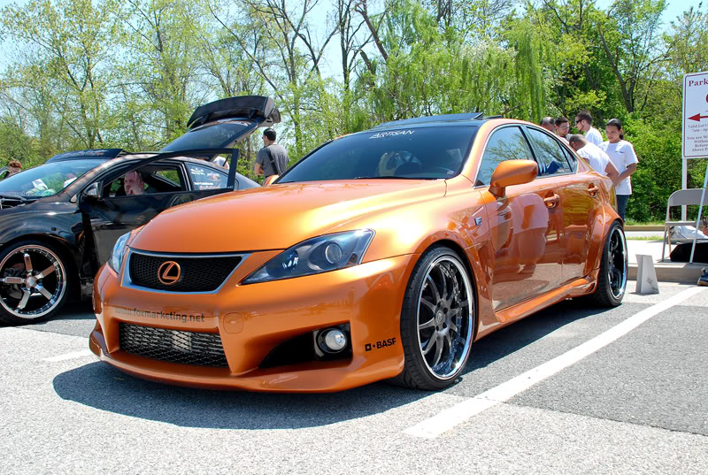 Name:  DSC_7214.jpg
Views: 67
Size:  174.5 KB