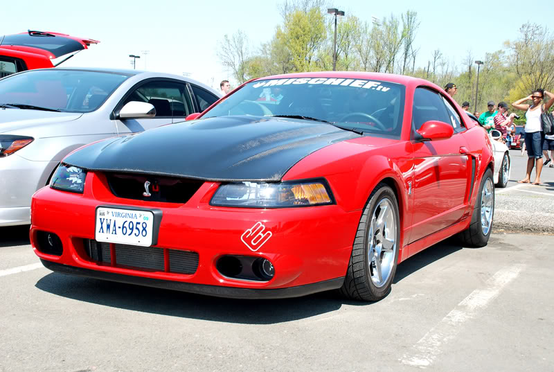 Name:  DSC_7016.jpg
Views: 47
Size:  106.2 KB