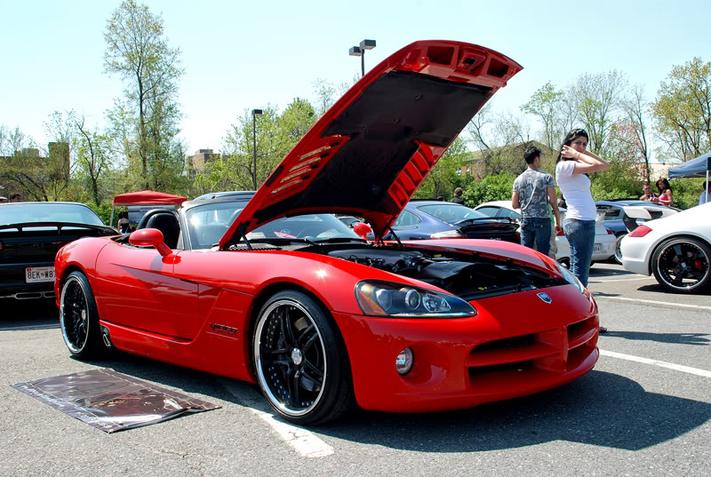 Name:  DSC_7030.jpg
Views: 70
Size:  136.0 KB