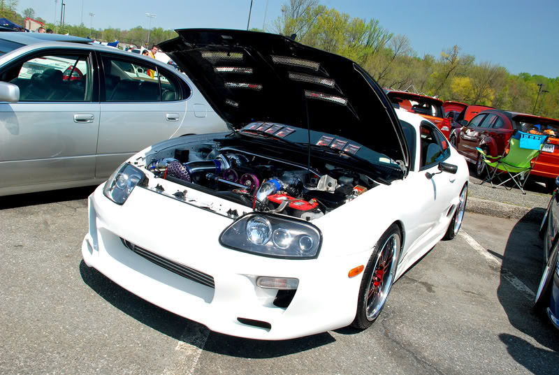Name:  DSC_7032.jpg
Views: 46
Size:  128.1 KB