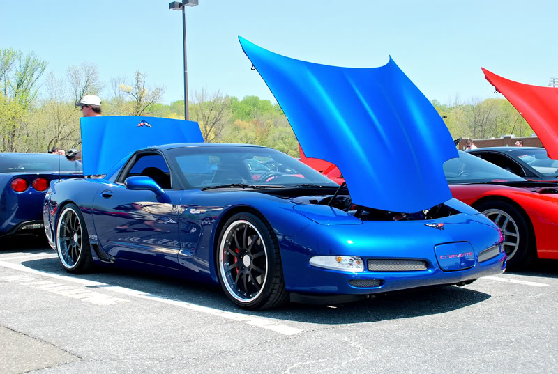 Name:  DSC_7066.jpg
Views: 65
Size:  108.6 KB