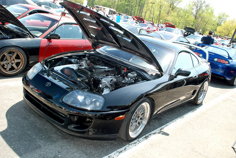 Name:  DSC_7108.jpg
Views: 32
Size:  151.9 KB