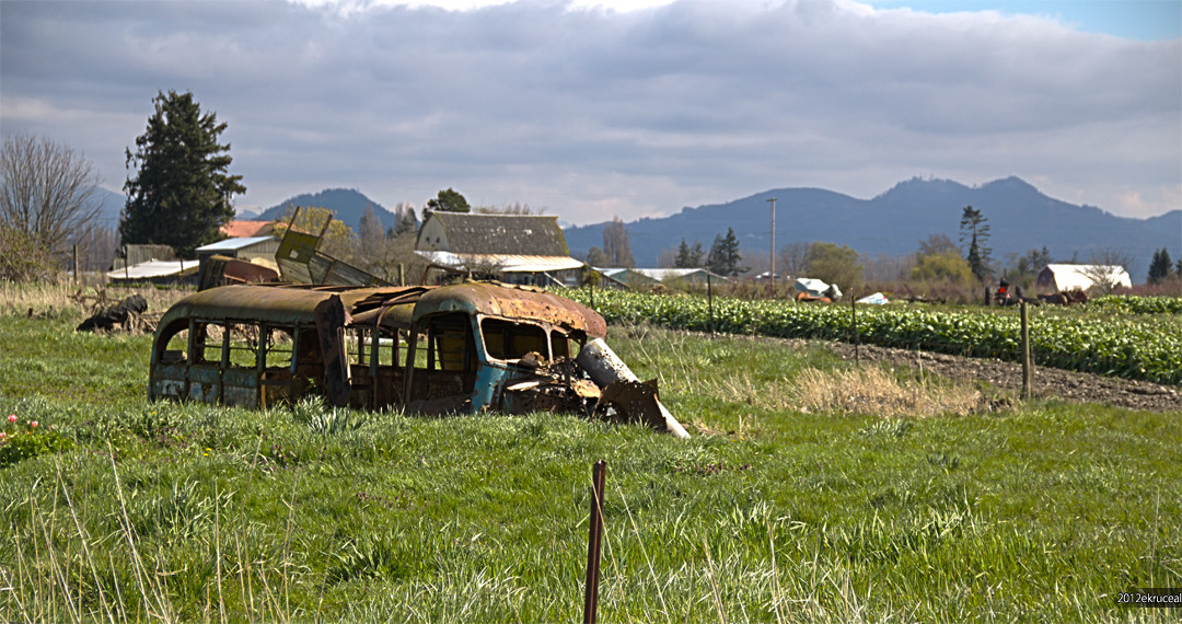 Name:  Oldbus.jpg
Views: 49
Size:  331.4 KB