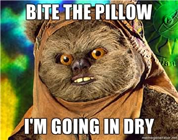 Name:  ewok4.jpg
Views: 198
Size:  36.2 KB