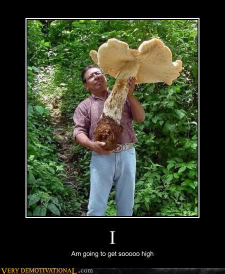 Name:  mushroomdemotivational.jpg
Views: 247
Size:  45.1 KB