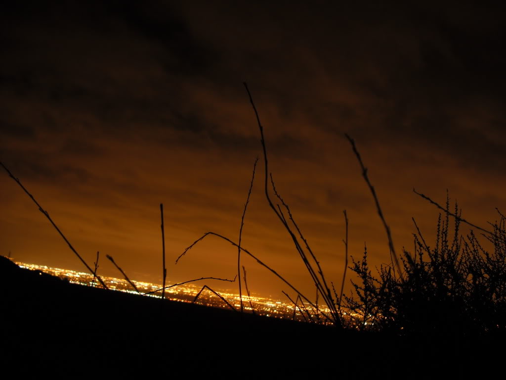 Name:  DSCF0017.jpg
Views: 88
Size:  62.7 KB