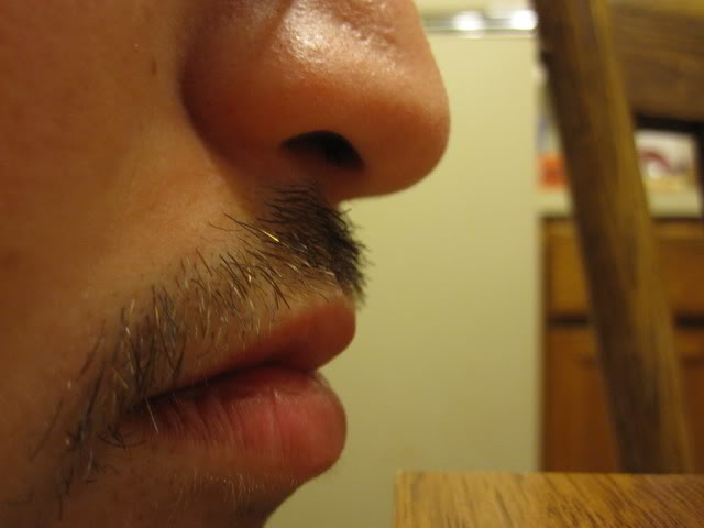 Name:  IMG_2326.jpg
Views: 65
Size:  34.2 KB