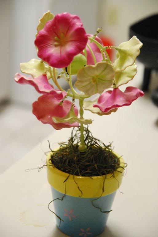 Name:  aperture008.jpg
Views: 48
Size:  61.1 KB