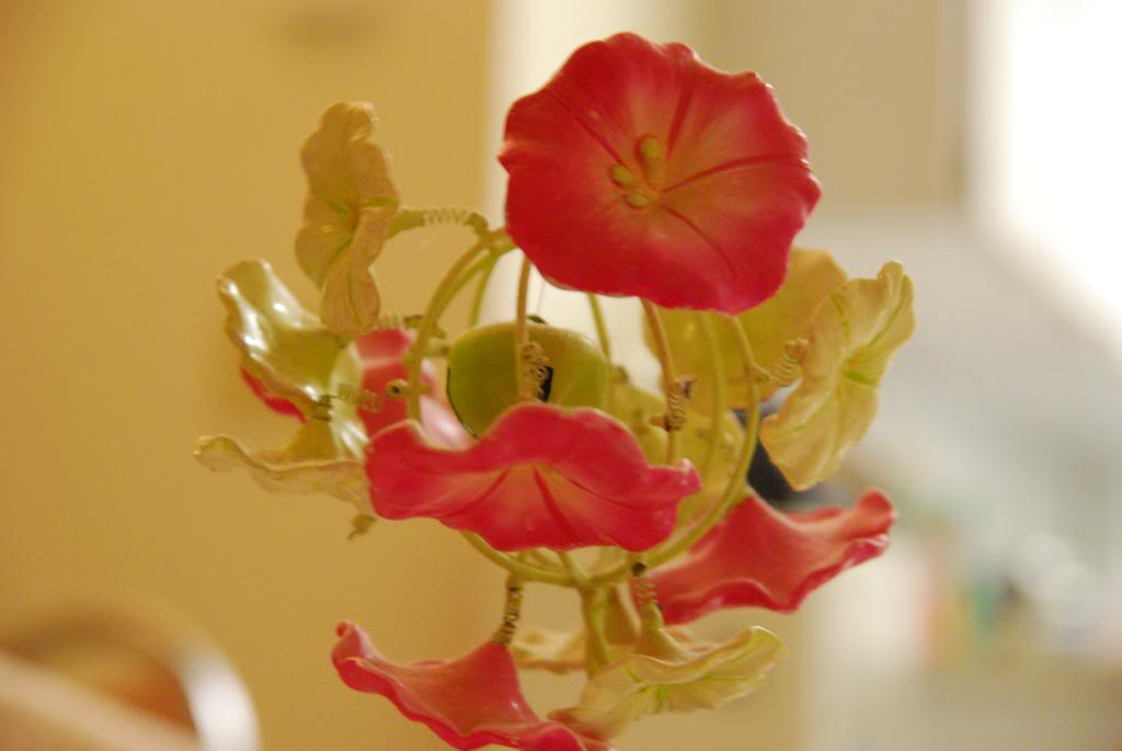 Name:  aperture005.jpg
Views: 42
Size:  65.6 KB