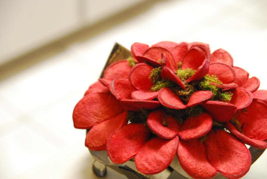 Name:  aperture007.jpg
Views: 44
Size:  85.3 KB