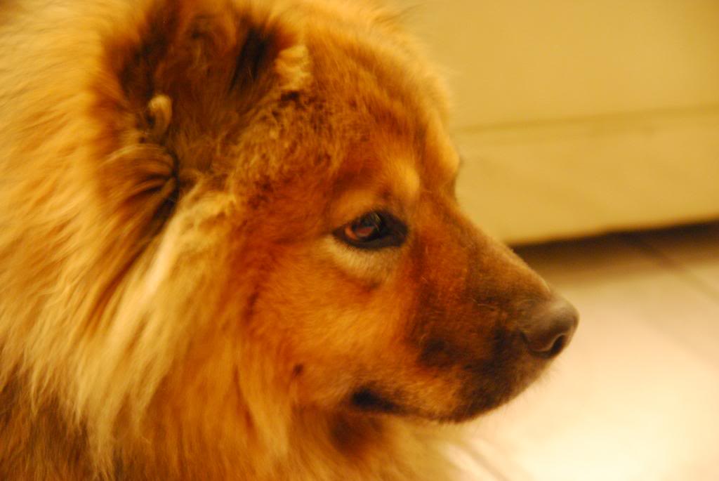 Name:  aperture006.jpg
Views: 55
Size:  76.6 KB