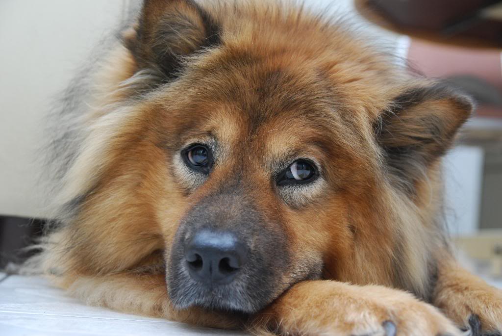 Name:  randomish004.jpg
Views: 46
Size:  110.2 KB