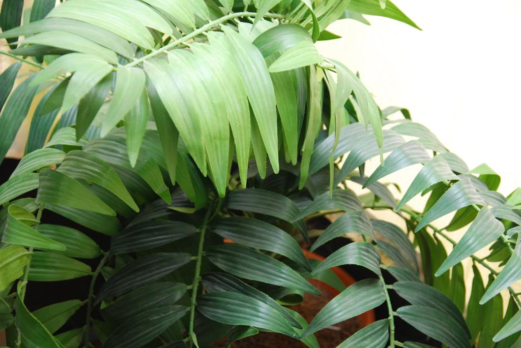 Name:  randomish003.jpg
Views: 60
Size:  113.7 KB