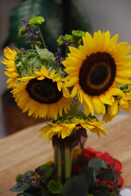 Name:  fireworks001.jpg
Views: 53
Size:  71.9 KB