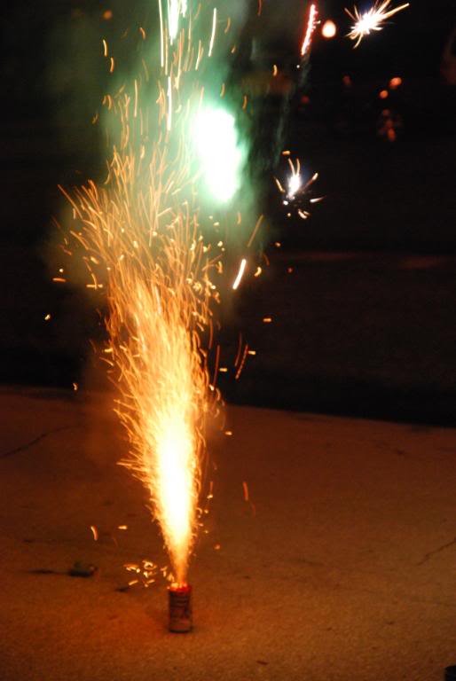 Name:  fireworks027.jpg
Views: 62
Size:  62.8 KB