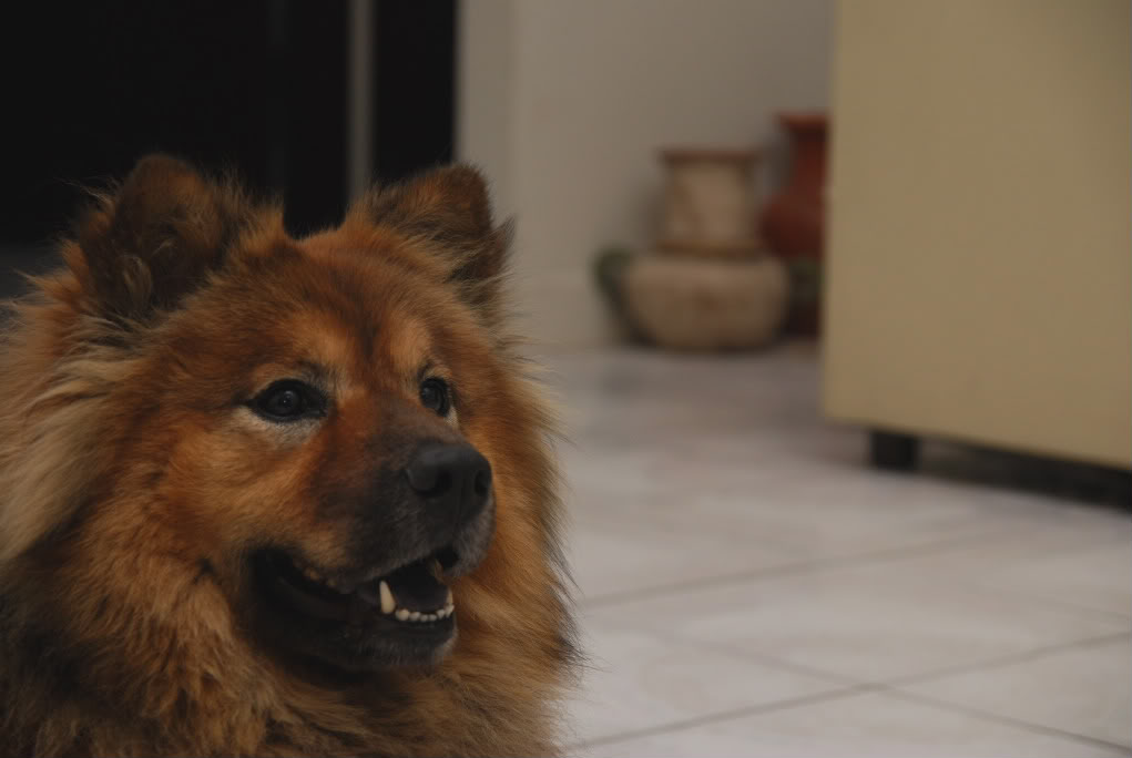 Name:  idk003.jpg
Views: 73
Size:  55.8 KB