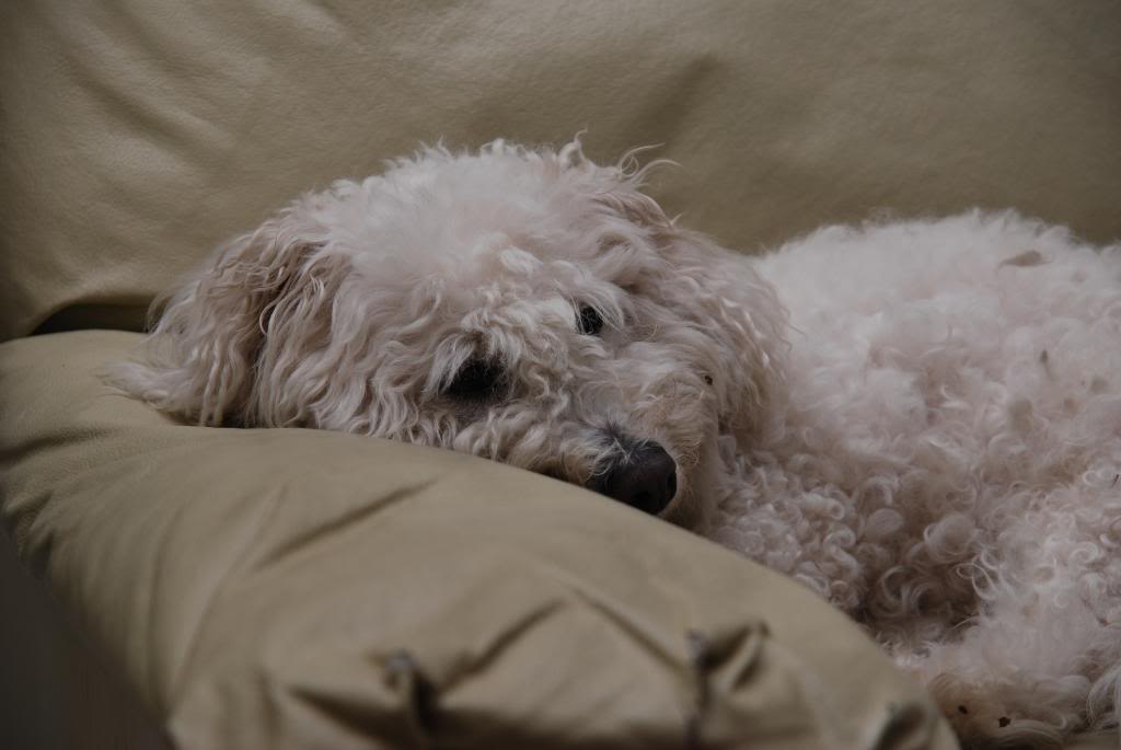 Name:  randompictures003.jpg
Views: 77
Size:  76.9 KB