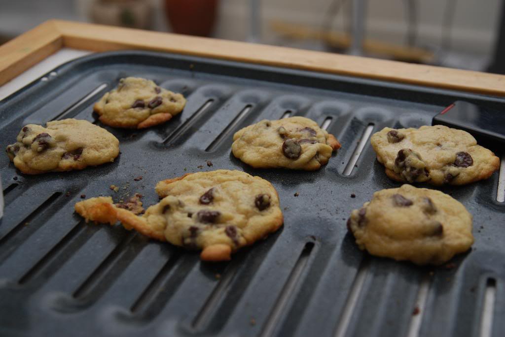 Name:  randompictures002.jpg
Views: 80
Size:  94.0 KB