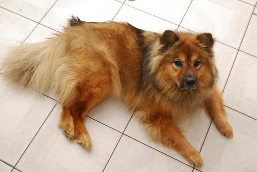 Name:  001-4.jpg
Views: 103
Size:  94.4 KB