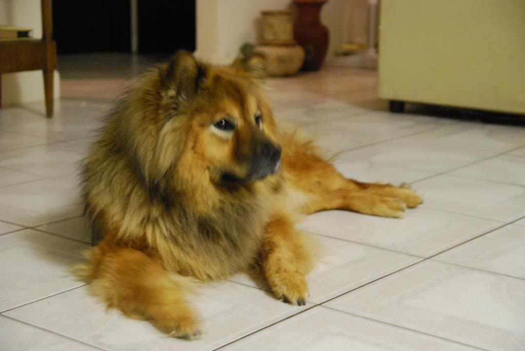 Name:  d60079.jpg
Views: 61
Size:  75.0 KB