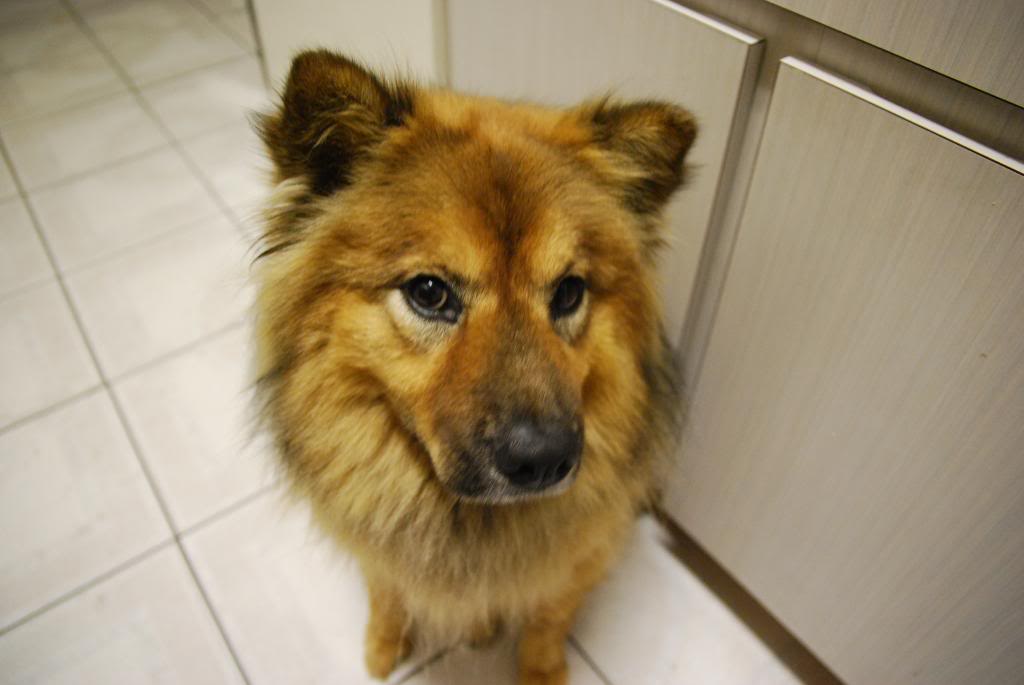 Name:  d60076.jpg
Views: 39
Size:  75.6 KB