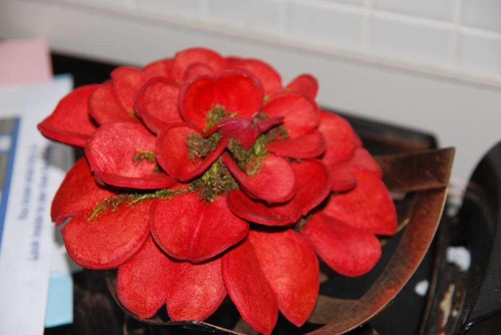 Name:  d60081.jpg
Views: 38
Size:  83.9 KB