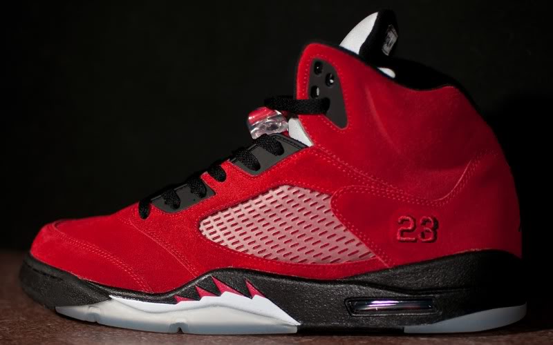 Name:  _DSC0371.jpg
Views: 28
Size:  56.7 KB