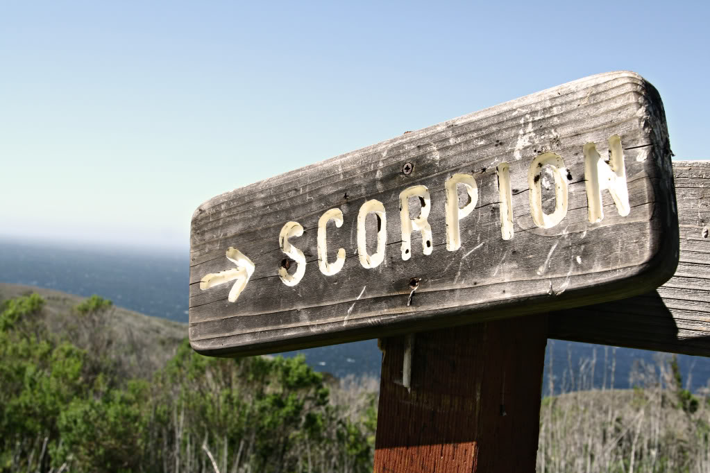 Name:  IMG_7090.jpg
Views: 47
Size:  132.8 KB