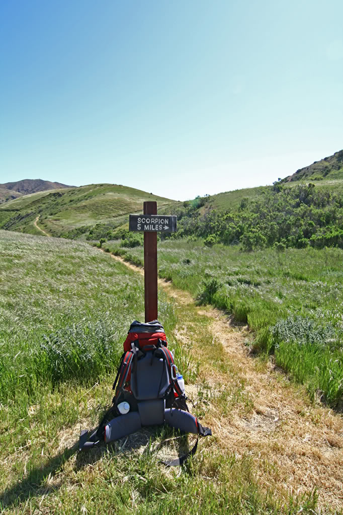 Name:  IMG_7272.jpg
Views: 33
Size:  226.7 KB