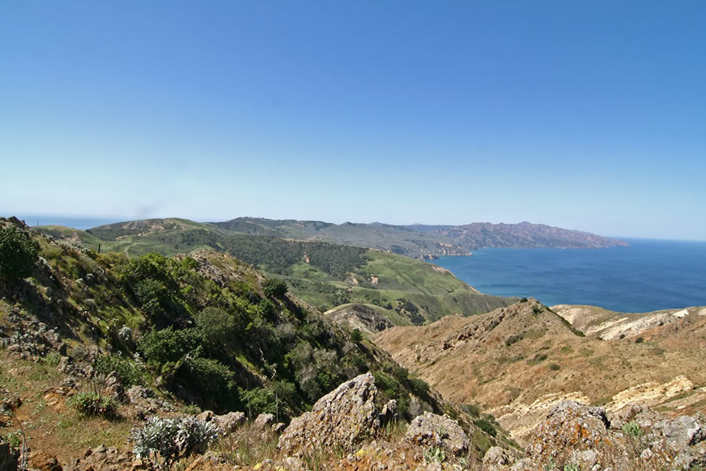 Name:  IMG_7285.jpg
Views: 84
Size:  162.1 KB