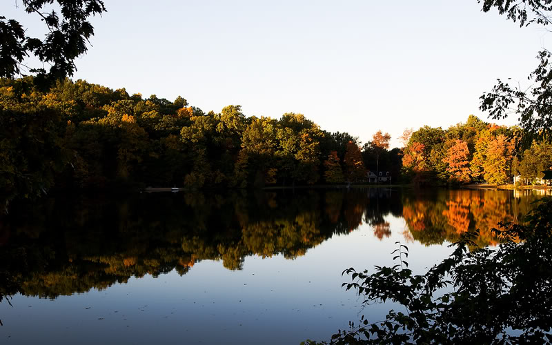 Name:  OtooTranquillo.jpg
Views: 59
Size:  97.7 KB