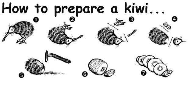 Name:  kiwi.jpg
Views: 53
Size:  21.8 KB