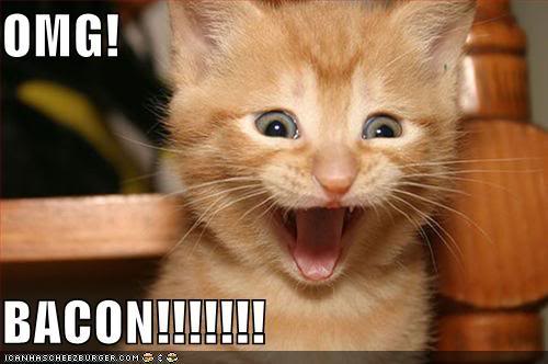 Name:  lolcat-bacon.jpg
Views: 35
Size:  27.0 KB