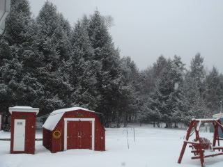 Name:  DSC01964-1.jpg
Views: 30
Size:  23.6 KB