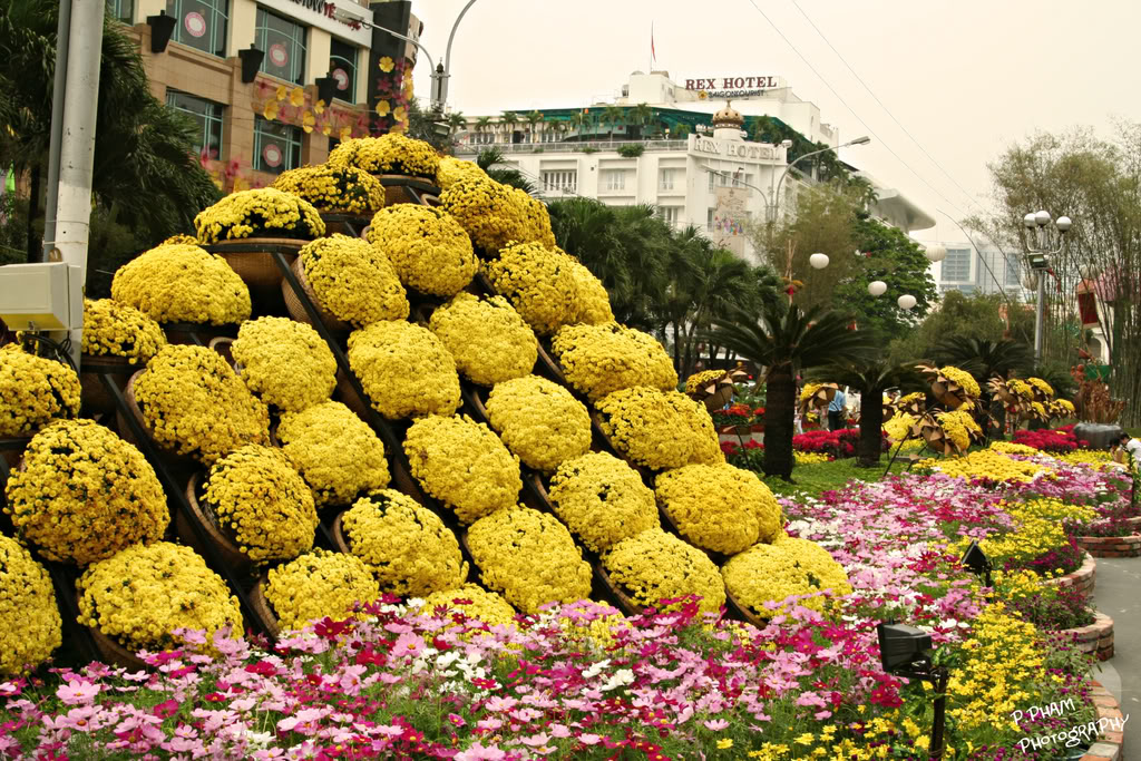 Name:  IMG_5432.jpg
Views: 109
Size:  289.1 KB