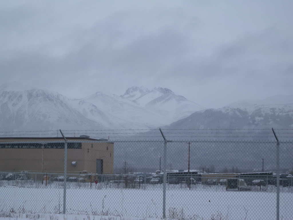 Name:  DSCN0014.jpg
Views: 52
Size:  83.6 KB