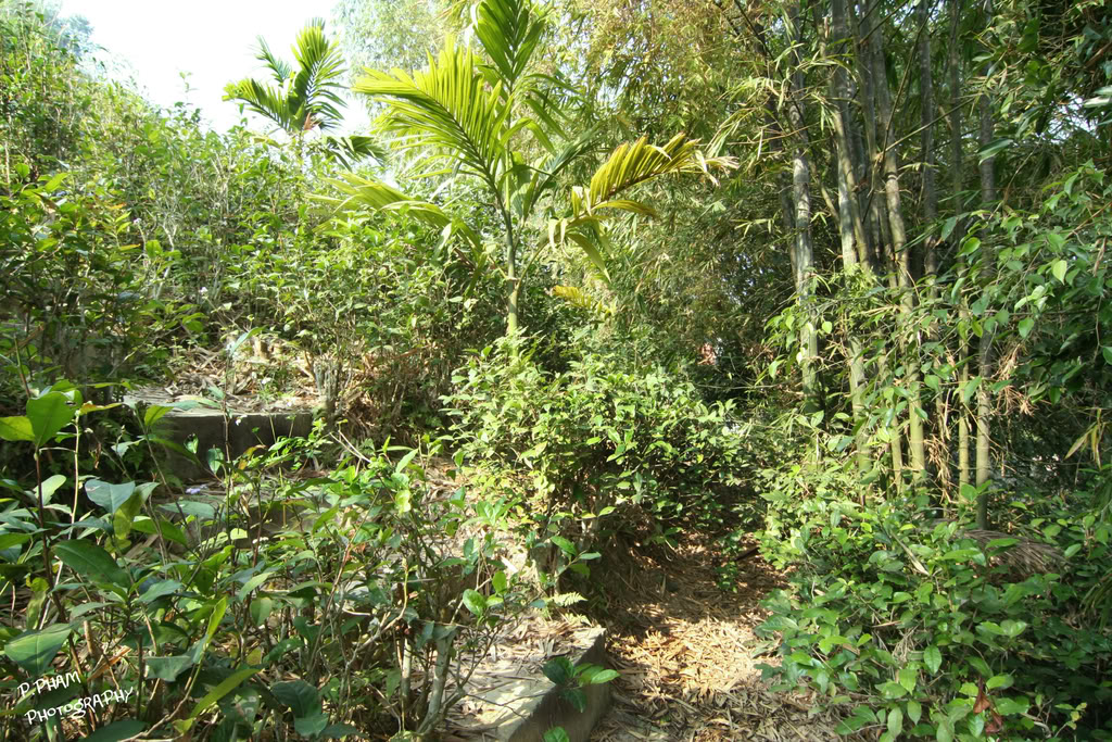 Name:  IMG_4073.jpg
Views: 131
Size:  330.0 KB