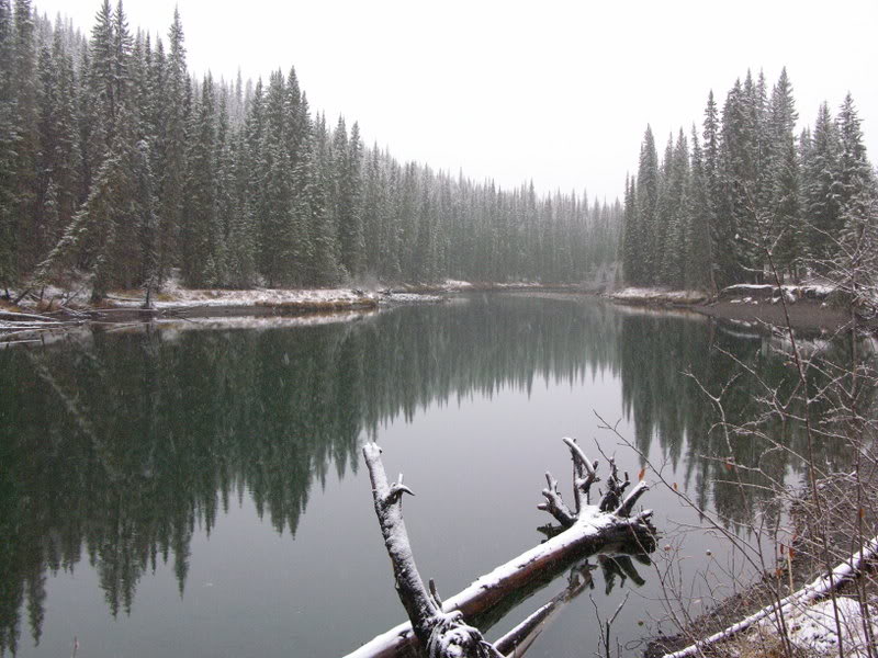 Name:  christinafallsoct-1.jpg
Views: 66
Size:  97.5 KB