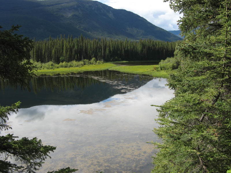 Name:  382.jpg
Views: 41
Size:  86.2 KB