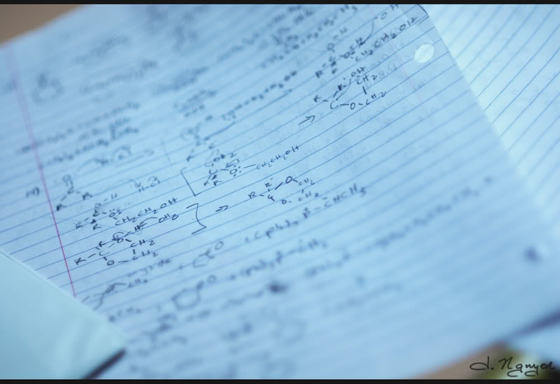 Name:  DSC_0258e.jpg
Views: 36
Size:  51.0 KB