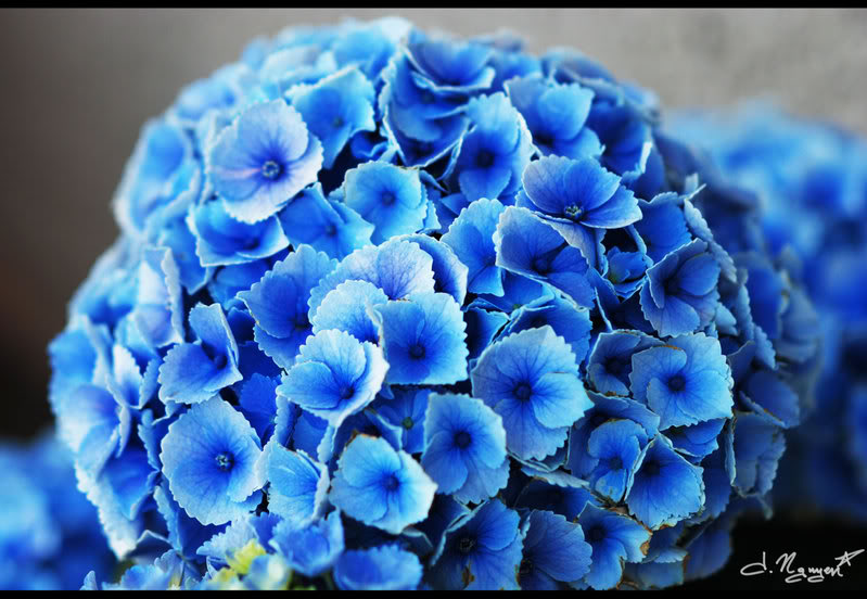 Name:  asd.jpg
Views: 39
Size:  86.7 KB