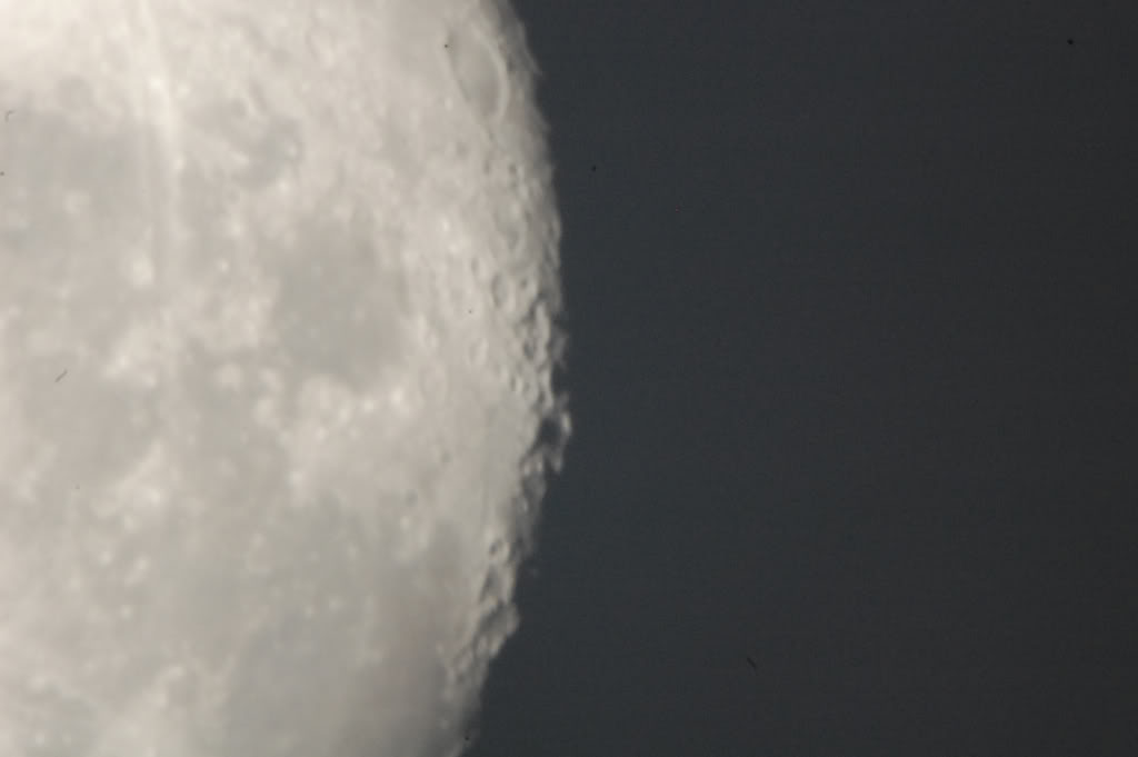 Name:  DSC_0021-2.jpg
Views: 54
Size:  32.6 KB
