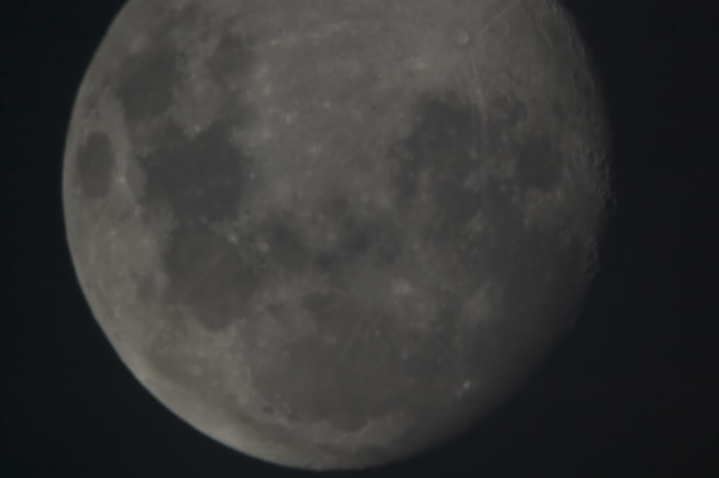 Name:  DSC_0028-2.jpg
Views: 78
Size:  29.8 KB