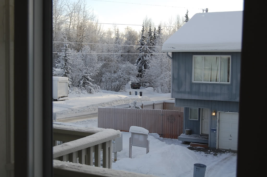 Name:  DSC_0014.jpg
Views: 38
Size:  119.7 KB