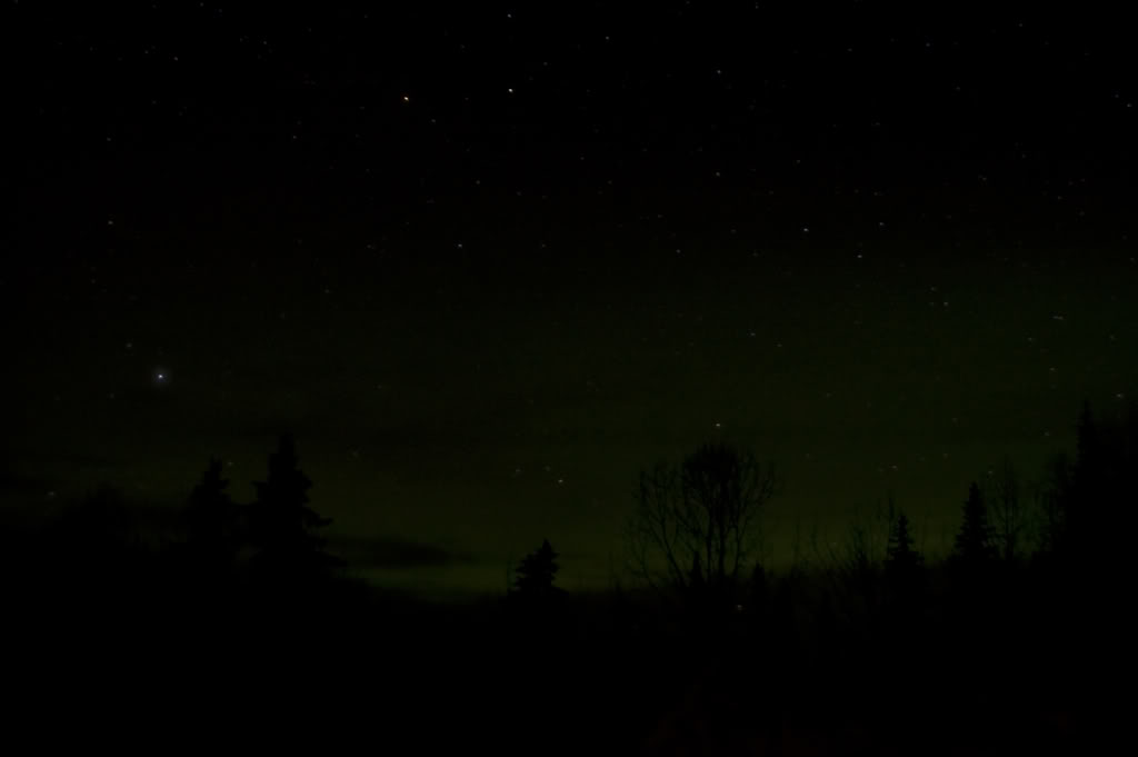 Name:  DSC_0022.jpg
Views: 32
Size:  20.6 KB