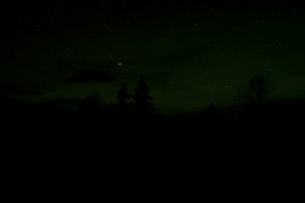 Name:  DSC_0028-1.jpg
Views: 47
Size:  17.6 KB