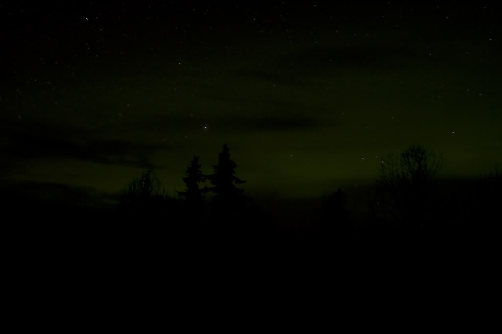 Name:  DSC_0030-1.jpg
Views: 34
Size:  20.0 KB