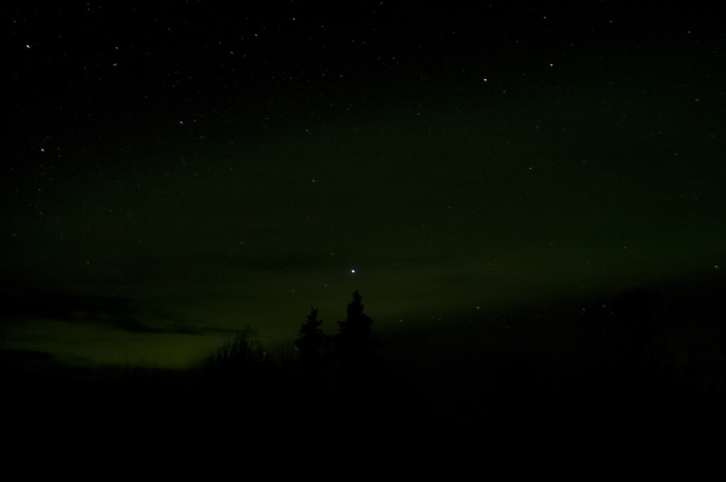 Name:  DSC_0035-2.jpg
Views: 67
Size:  22.6 KB