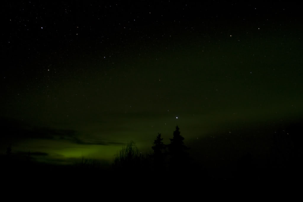 Name:  DSC_0036-1.jpg
Views: 39
Size:  24.4 KB